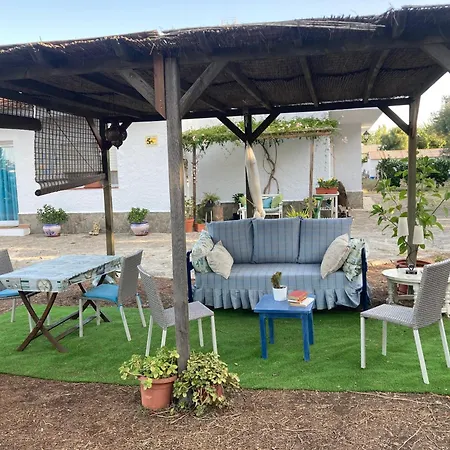 Casa Del Buho *