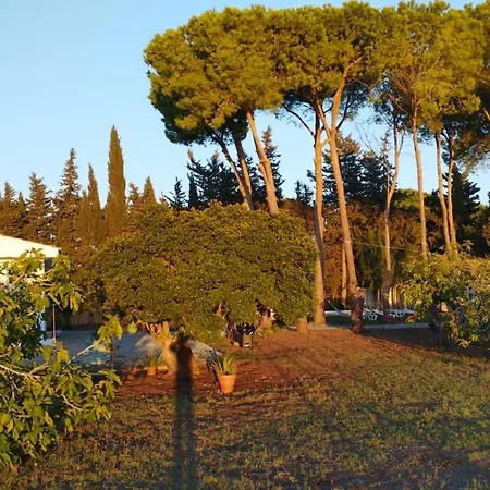 Casa Del Buho *