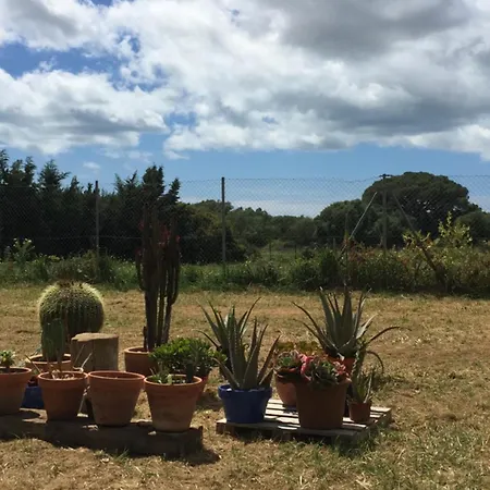 Casa Del Buho *