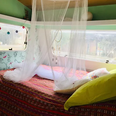 Kompleks wypoczynkowy Casa Del Buho